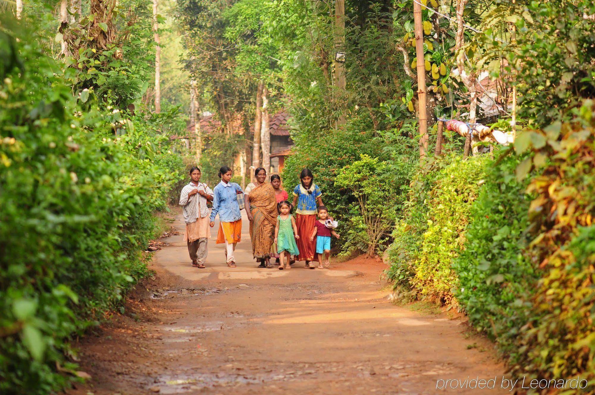 فندق حسنفي  Evolve Back Coorg المرافق الصورة